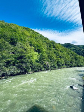 River House